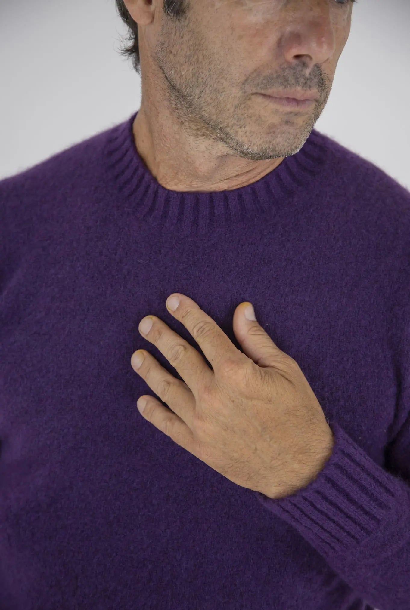 Girocollo Cashmere e Seta Viola - Guarino Store